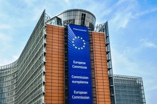 Procédure européenne de règlement des petits litiges : Nouveaux guides pratiques<br>Proceso europeo de escasa cuantía: Nuevas guías prácticas<br> | Alfredo et Bayssieres